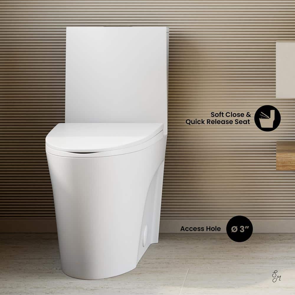 Matte White One-Piece Elongated Dual-Flush Toilet