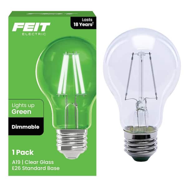 25-Watt Equivalent A19 Dimmable Filament Green Colored Glass E26 Medium Base LED Light Bulb (1-Pack)