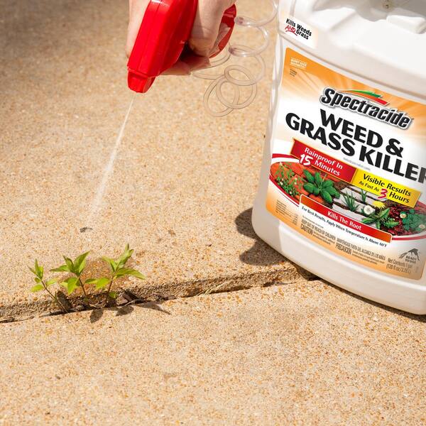 Spectracide Weed And Grass Killer 128 Oz Ready To Use Sprayer Hg 96017 3 The Home Depot