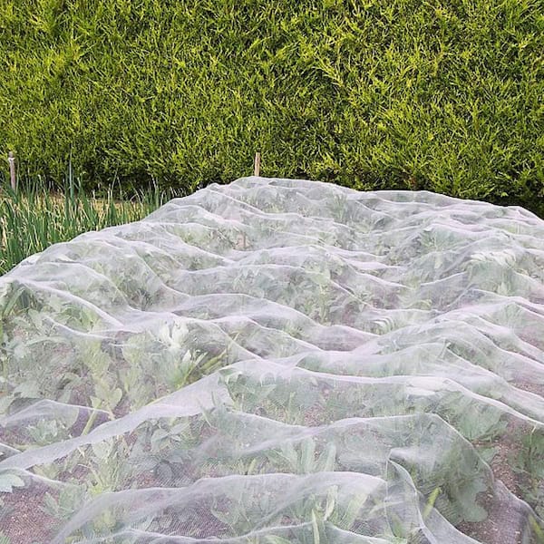 10 ft. x 33 ft. White Polyethylene Extra Fine Garden Mesh For