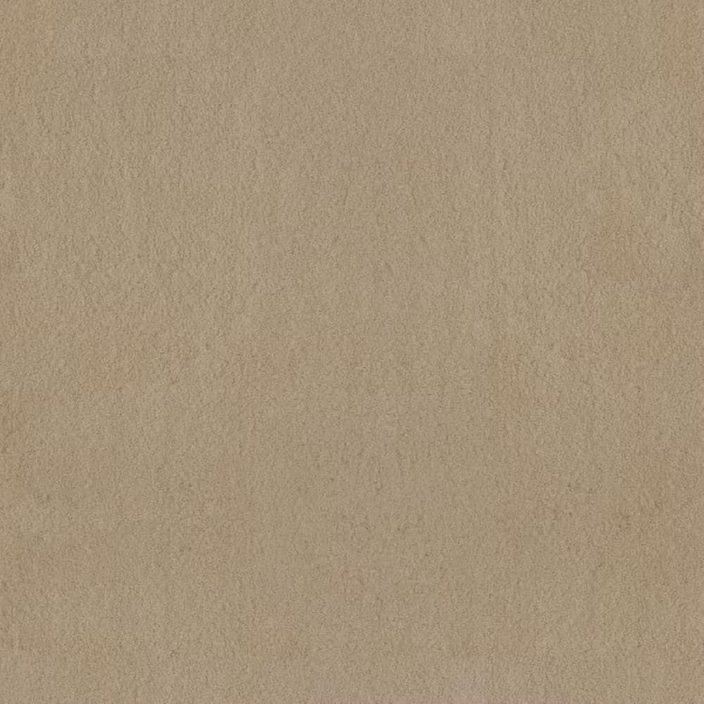 8 in. x 8 in. Texture Carpet Sample-Dreamy Daze I-Color Wild Mushroom price history on PriceWatchPro