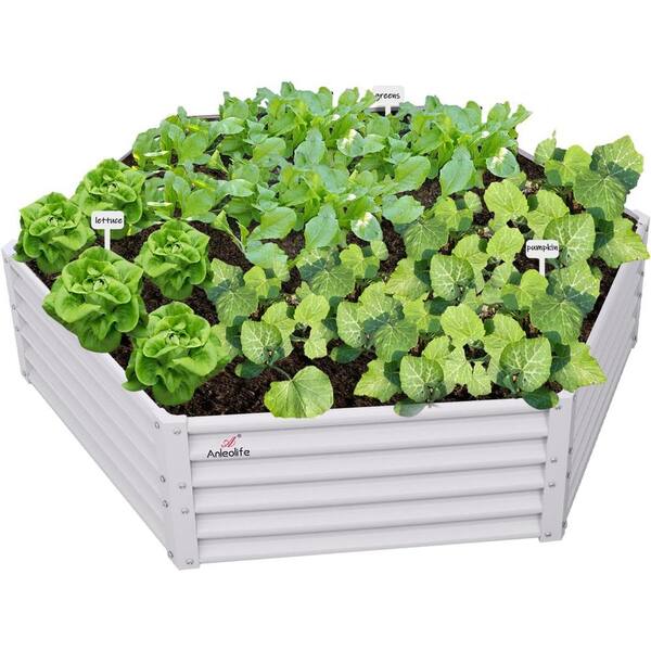 完成品 White 70in. x 60in. x 18in. Hexagon Galvanized Raised Garden Windowsノート本体