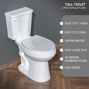 27 in. semi-circular Toilet Bowl in White, Single Flush Elongated Toilet for Bathroom