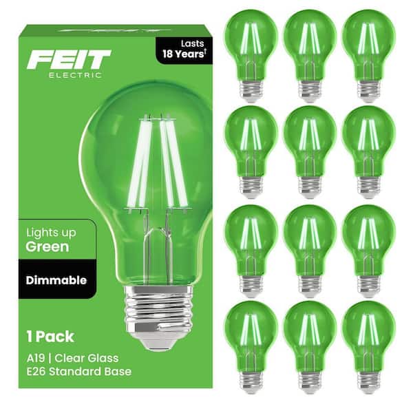 25-Watt Equivalent A19 Dimmable Filament Green Colored Glass E26 Medium Base LED Light Bulb (12-Pack)