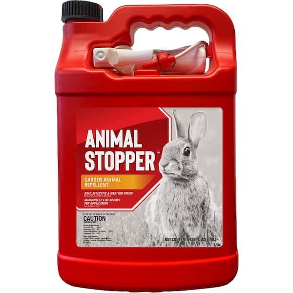 ANIMAL STOPPER Animal Stopper Animal Repellent, Gallon Ready-to-Use with Nested Sprayer