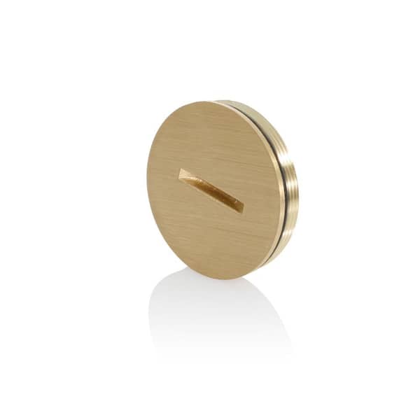 Replacement Screw Cap with O-Ring for Single Floor Box 5249-CAP