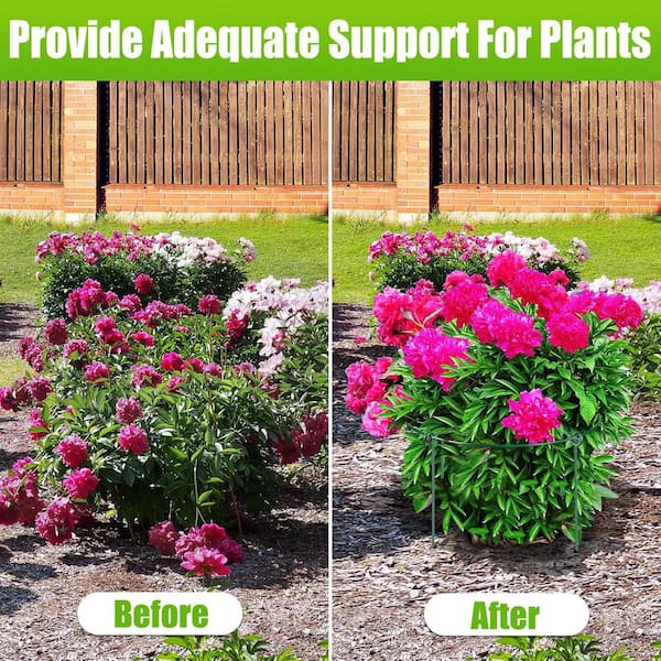 Phewnyzo 11.5 in. D x 16 in. H Peony Cages and Supports, Heavy