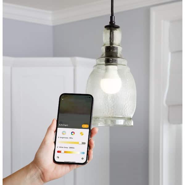 60-Watt Equivalent Smart A19 E26 Base Color Changing CEC LED Light Bulb with Voice Control (1-Bulb) Powered by Hubspace