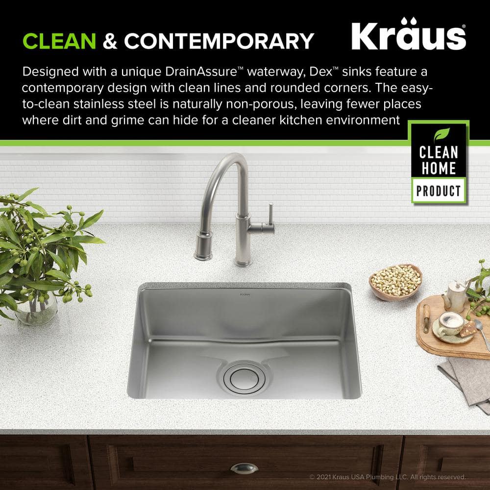 Dex 25-Inch Undermount Single Bowl Stainless Steel Kitchen Sink with DrainAssure