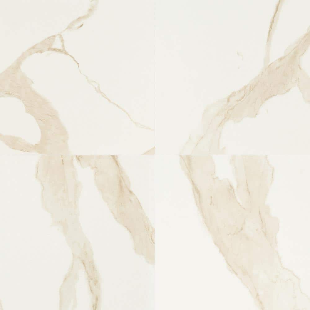 Take Home Tile Sample - Ader Calcatta 4 in. x 4 in. Matte Porcelain Floor And Wall Tile price history on PriceWatchPro