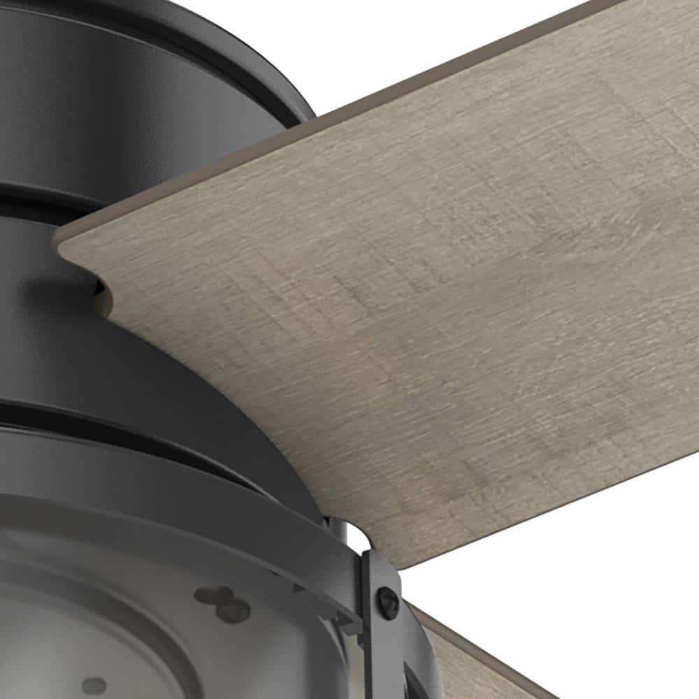 Astwood Matte Black 52" LED Ceiling Fan with Rounded Cage Design