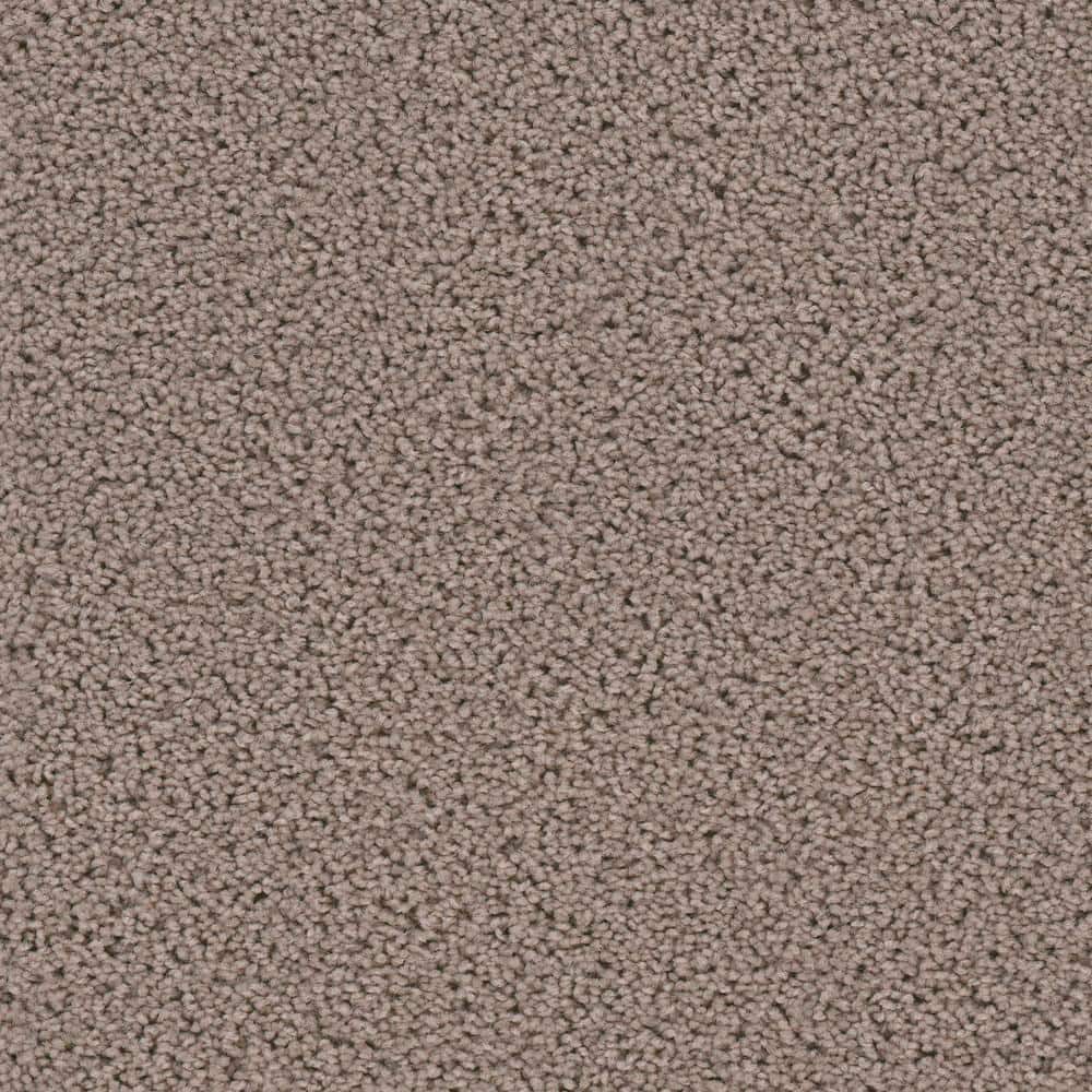 8 in. x  8 in. Texture Carpet Sample - Added Value -Color Tally price history on PriceWatchPro