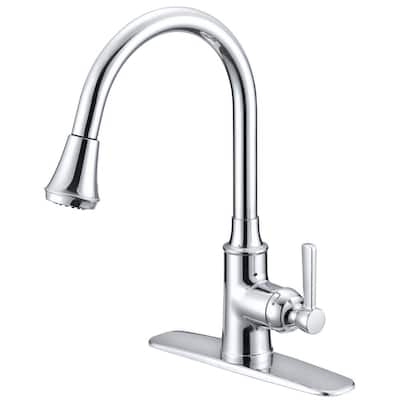 Transitional Single-Handle Pull-Down Sprayer Kitchen Faucet in Chrome Polished