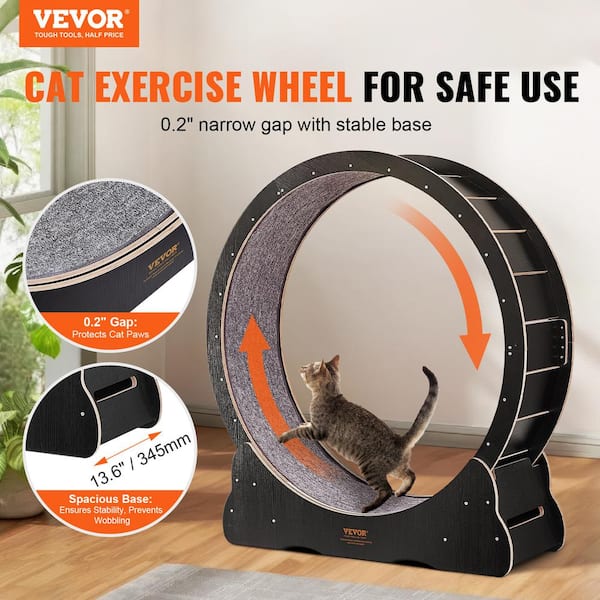 Cat running on wheel fashion