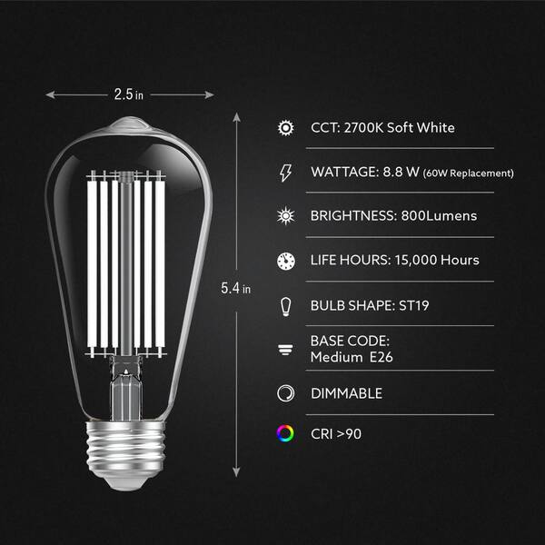 Feit Electric 60-Watt Equivalent ST19 Dimmable Straight Filament Clear  Glass E26 Vintage Edison LED Light Bulb, Soft White (4-Pack)  ST1960/CL927CAHDRP/4 - The Home Depot