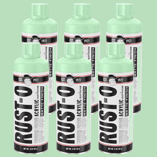 Unbranded 11 oz. Rust-O Matte Hint of Mint Spray Paint (Case of 6)
