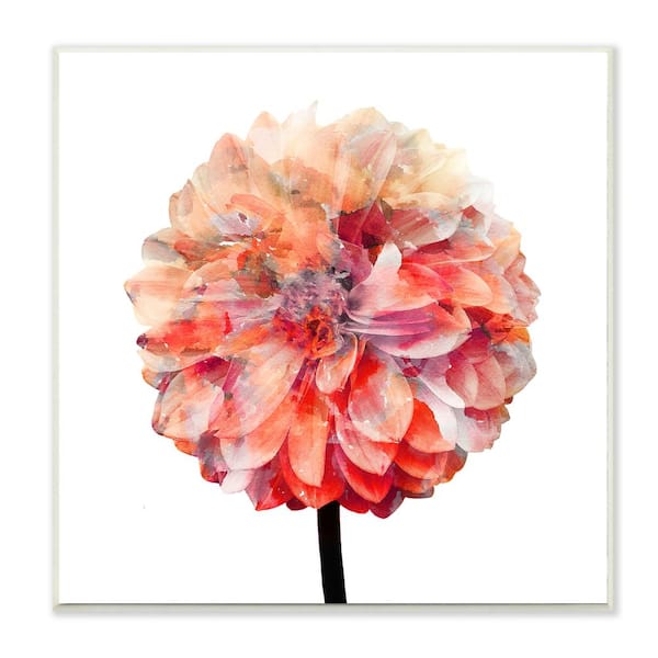 Buy Pastel Peach Dahlia Flower Square Wall Art Print