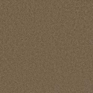 Added Value - Magnitude - Brown 24 oz. SD Polyester Texture Installed Carpet