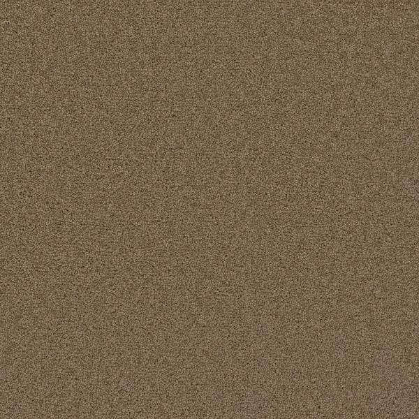 TrafficMaster Added Value - Magnitude - Brown 24 oz. SD Polyester Texture Installed Carpet