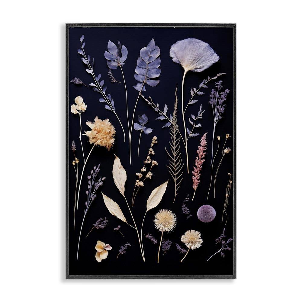 Various Sprigs on Black by Heidi Kuntz Black Framed Nature Giclee Art Print 24 in. x 16 in. price history on PriceWatchPro