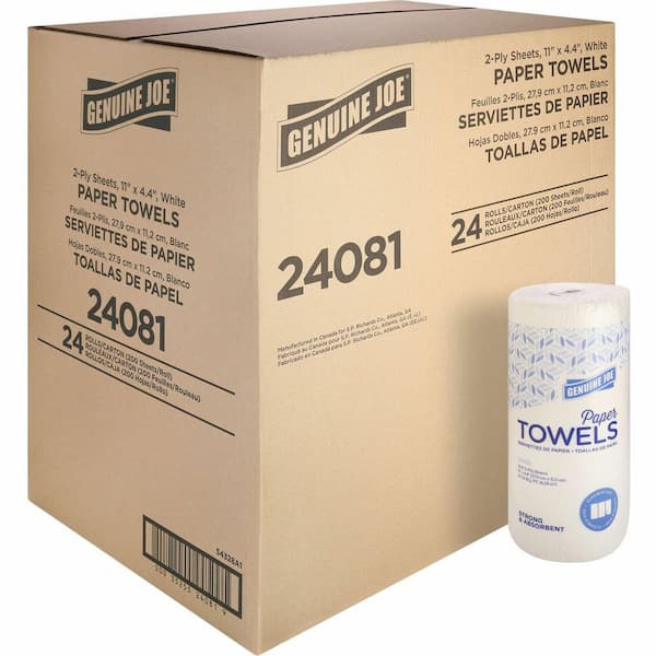 Household Paper Towels Roll 2-Ply (100-Sheets per Roll)