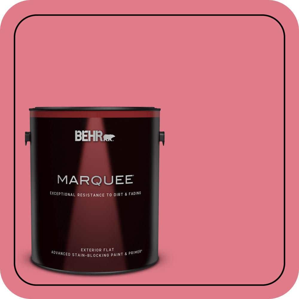 1 gal. #P150-4 Hot Gossip Flat Exterior Paint & Primer price history on PriceWatchPro