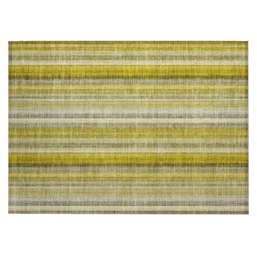 Gold 2 ft. x 3 ft. Woven Striped Rectangle Indoor/Outdoor Area Rug price history on PriceWatchPro