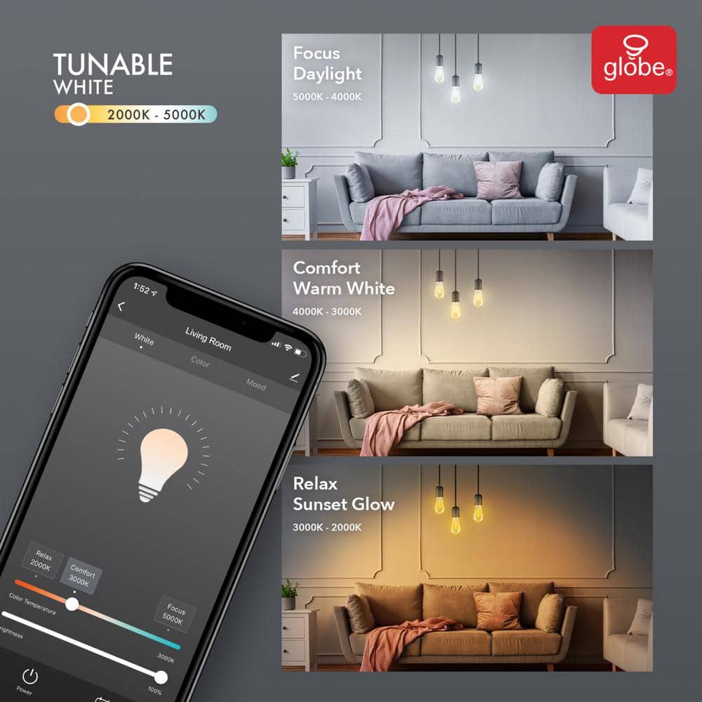 Smart 60W Amber Glass Tunable White Edison LED Bulb