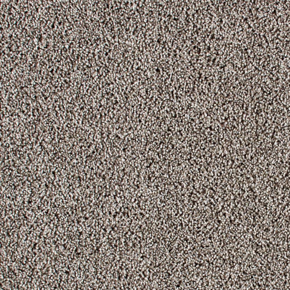 8 in. x 8 in. Texture Carpet Sample - Huntcliff II -Color Deep Breath price history on PriceWatchPro