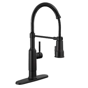 Theodora Single Handle Pull Down Sprayer Kitchen Faucet with Spring Spout in Matte Black