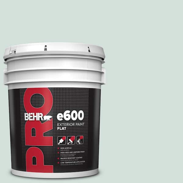 5 Gal. #S430-1A Reflecting Moment Flat Exterior Paint
