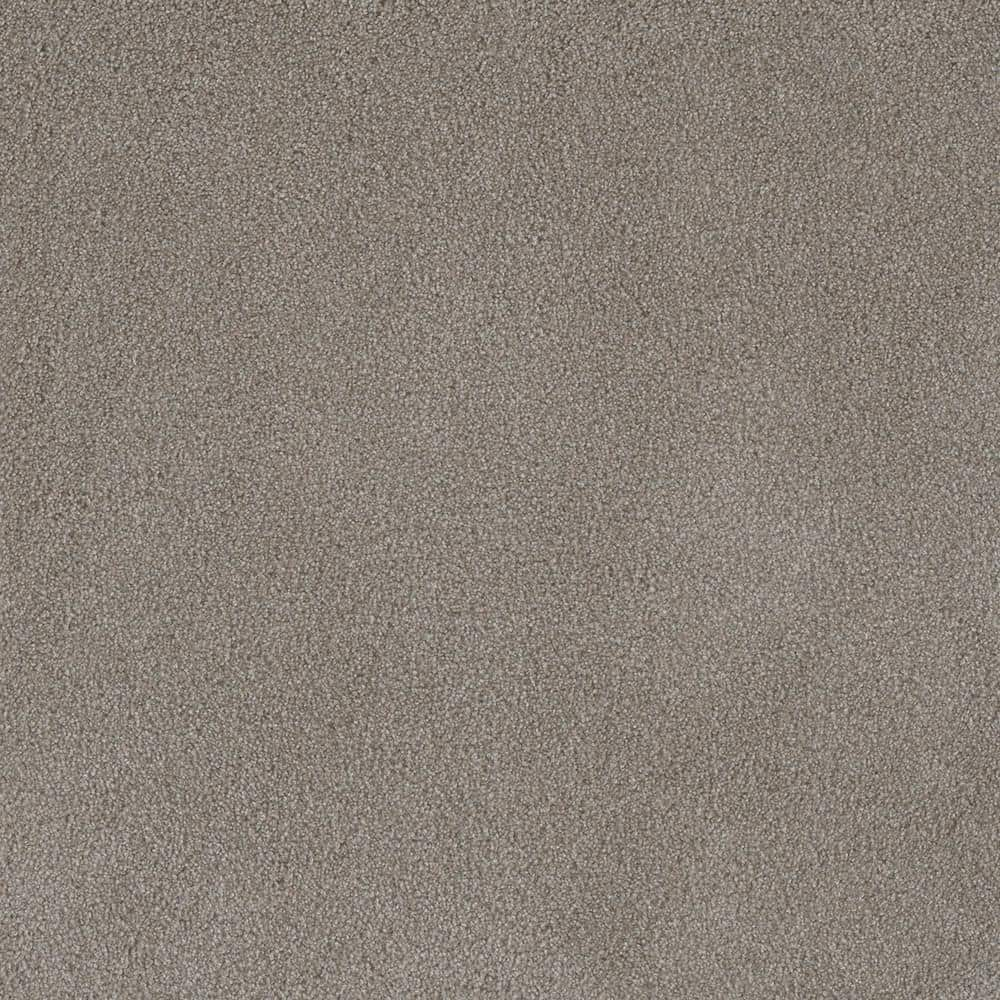 Home Decorators Collection First Class I - Garden - Beige 32 oz. SD ...