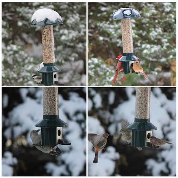 Metal Seed Sunflower Bird Feeder Pest-Off Squirrel-Proof Mixed Weather-Proof 