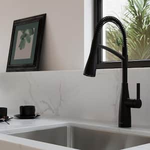 Kwan Single-Handle Culinary Pull Down Sprayer Kitchen Faucet in Matte Black