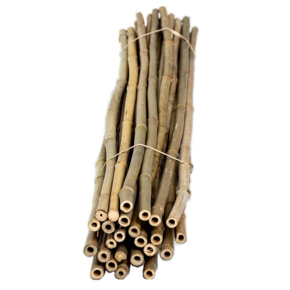 Natural Bamboo Garden Stakes for Plant Support, 48" Length