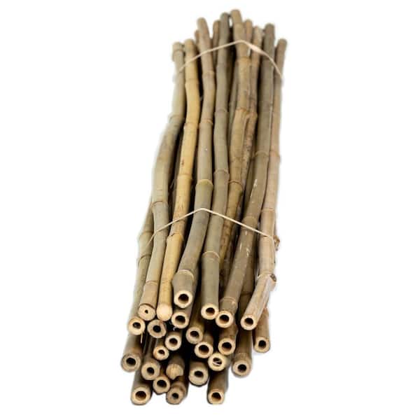 Red Reed Bamboo Stakes Red Dyed Natural 6' Thin Bamboo Poles Garden  Decoration