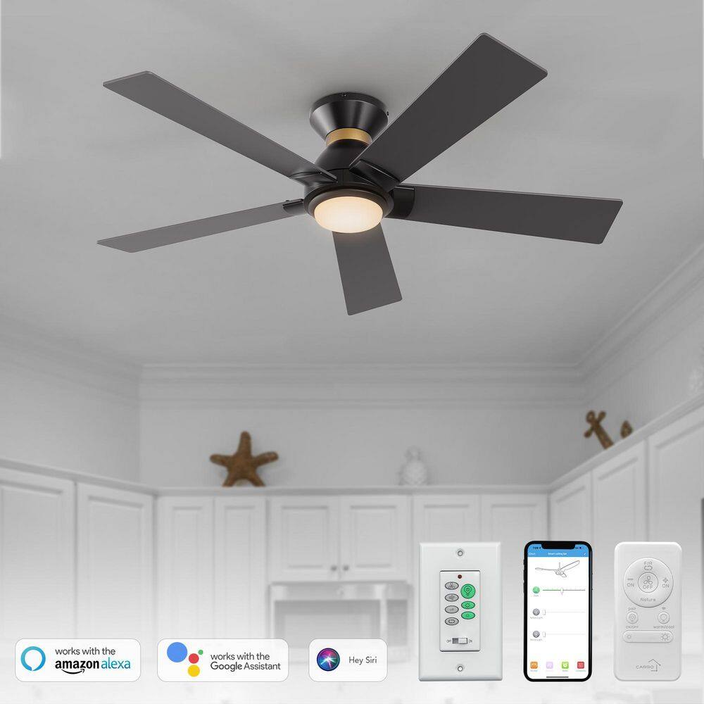 52 in. Indoor/Outdoor Black Flush Mount LED Smart Ceiling Fan with Remote Control and Wall Control, 10-Speed DC Motor price history on PriceWatchPro