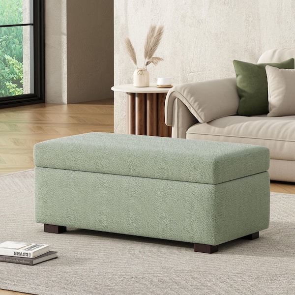 Chad Modern Light Green Chenille Upholstered Rectangle Storage Accent Ottoman Wood Frame