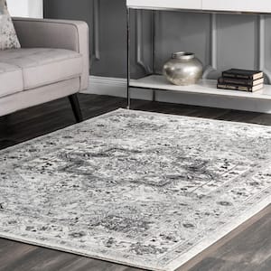 Vonda Persian Gray 5 ft. x 8 ft. Area Rug