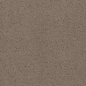 Adalida - Travertine - Beige 40 oz. SD Polyester Pattern Installed Carpet