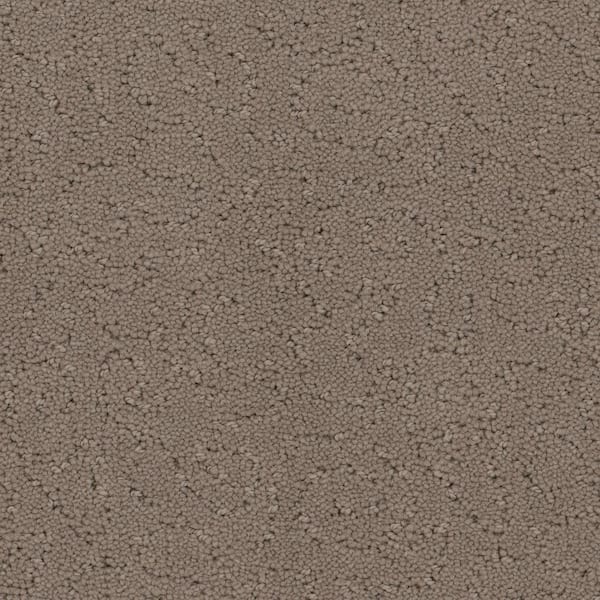 Home Decorators Collection Adalida - Travertine - Beige 40 oz. SD Polyester Pattern Installed Carpet