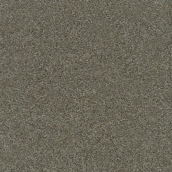 Dewdrop I-Pleasant Brown-60 oz. SD Polyester Texture Carpet - Installation Required