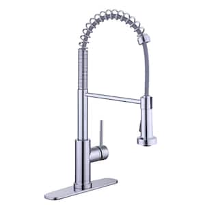 Paulina Single-Handle Spring Neck Pull Down Sprayer Kitchen Faucet in Chrome