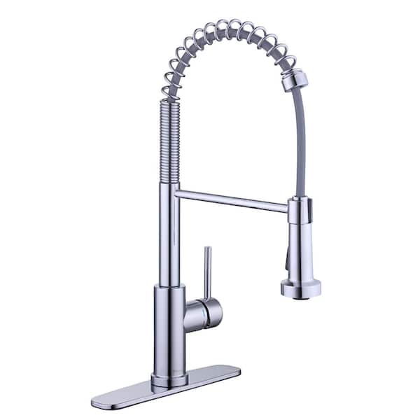 Glacier Bay Paulina Single-Handle Spring Neck Pull Down Sprayer Kitchen Faucet in Chrome