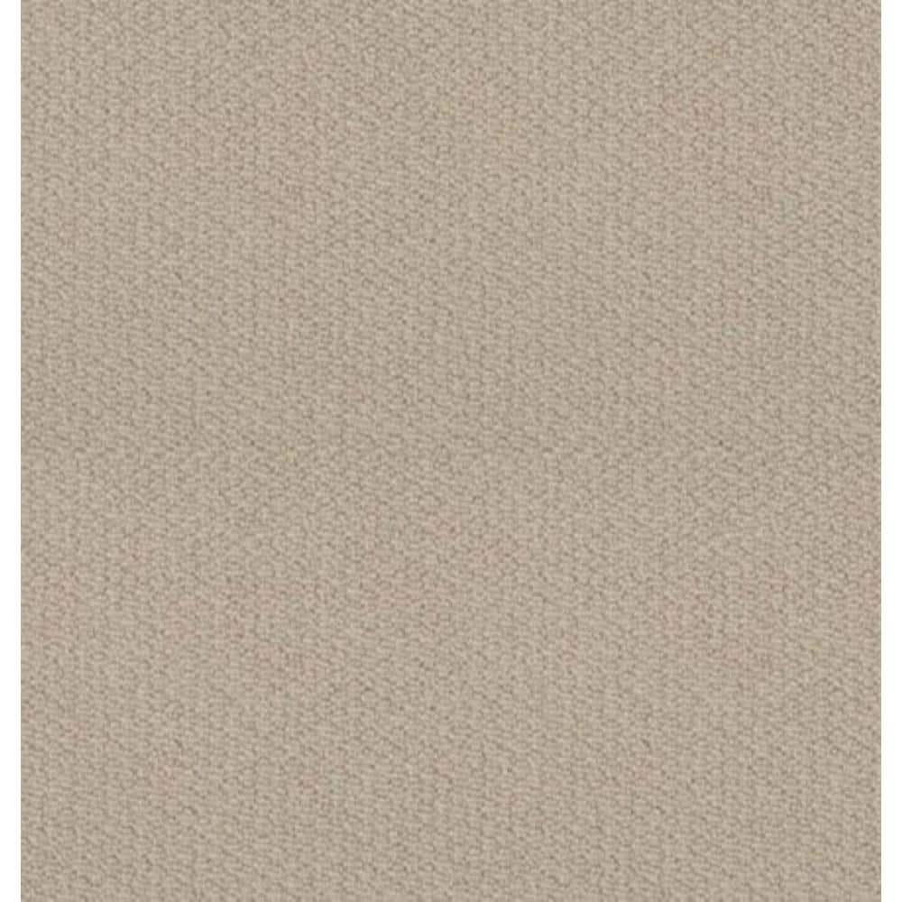 Home Decorators Collection 8 in x 8 in. Loop Carpet Sample - Hickory Lane - Color Stargazer -  HDF4646107