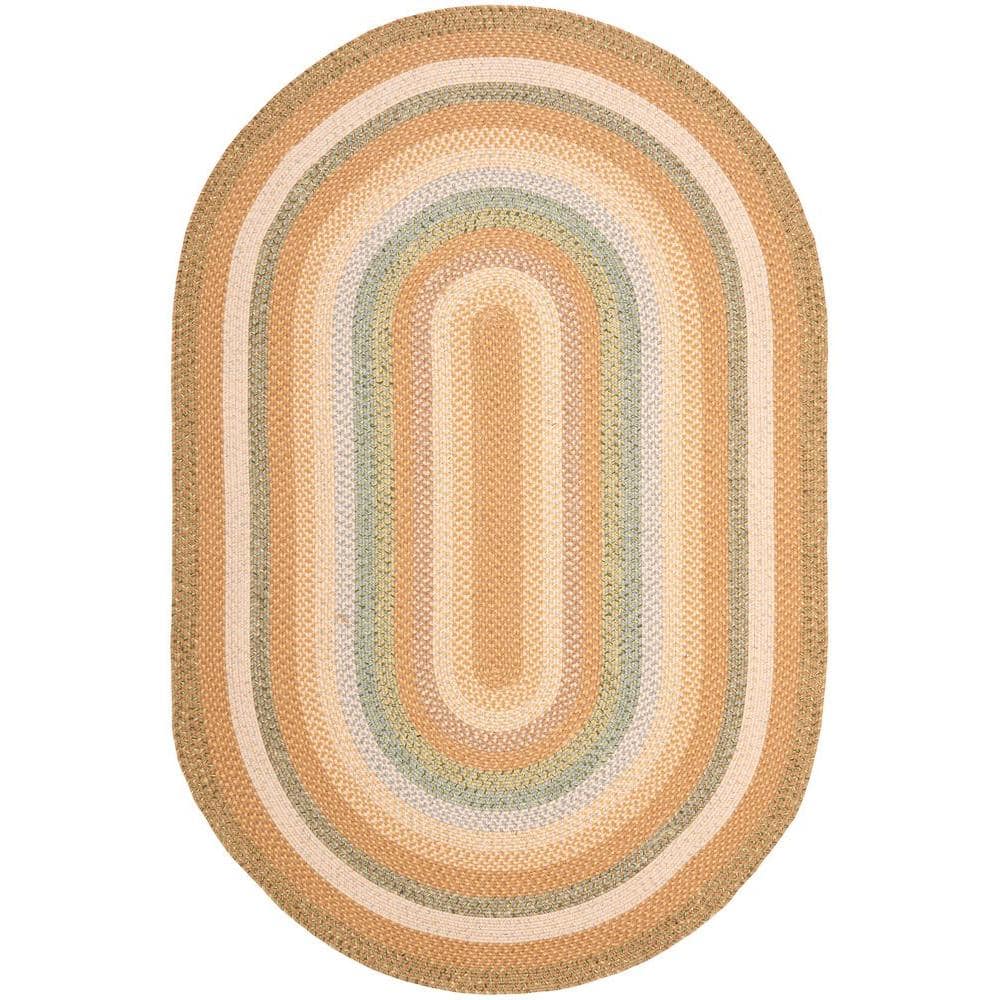 Braided Tan/Multi 4 ft. x 6 ft. Oval Border Area Rug price history on PriceWatchPro