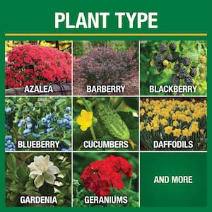 5 lb. All Season All Purpose Plant Food (12-5-7)