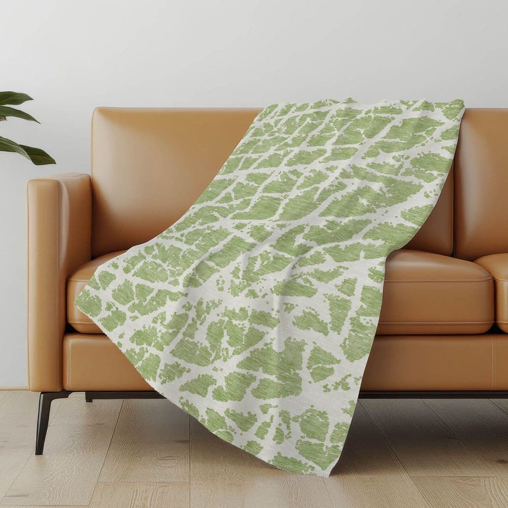 Premium Machine Washable ASB501 Aloe 50 in. x 70 in. Sherpa Throw Blanket price history on PriceWatchPro