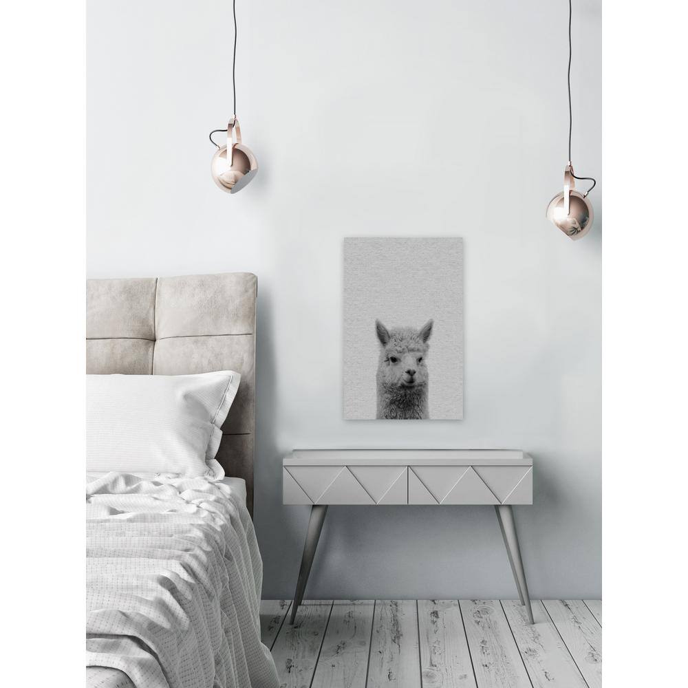 24 in. H x 16 in. W Llama Surprise II by Maria Giovanni Canvas Wall Ar