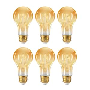 60-Watt Equivalent A19 Dimmable 10% to 100% Edison LED Light Bulb 2200K Amber Light (6-Pack)